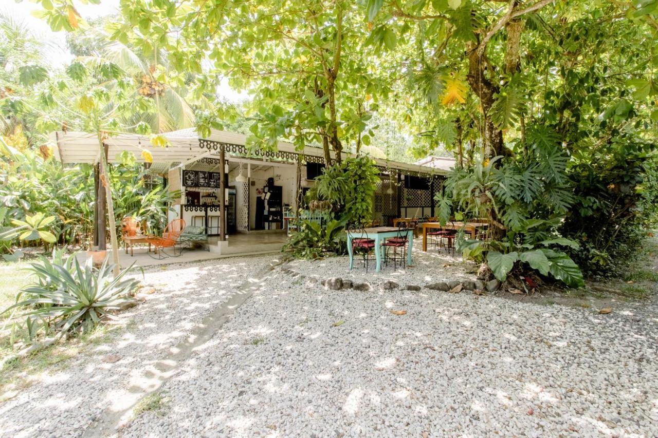 Bajo El Arbol B&B Playa Santa Teresa  Exterior photo